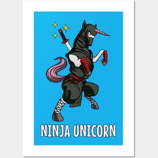 Ninja Unicorn Posters and Art